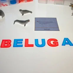 Alfabeto Montessori letras mayúsculas translúcidas (91) - Sumando Momentos