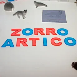 Alfabeto Montessori letras mayúsculas translúcidas (91) - Sumando Momentos