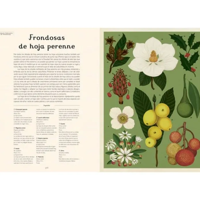Arboretum - Visita nuestro Museo - Impedimenta