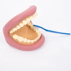 Boca para cepillar los dientes - Commotion Distribution