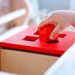 Caja de permanencia de madera 4 formas - Montessori