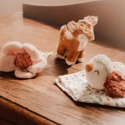 Caja regalo doudou, mordedor y peluche Jardín de Hadas - Little Dutch