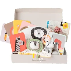 Caja regalo kit recién nacido 12 productos - Taf Toys