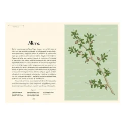 Calendario de Adviento flora y fauna - Visita nuestro Museo - Impedimenta