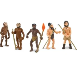 Ciclo evolución del ser humano - Safari