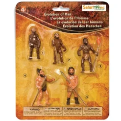 Ciclo evolución del ser humano - Safari