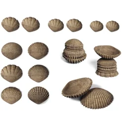 Conchas ecológicas táctiles y sensoriales (36) - EDX Education