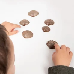 Conchas ecológicas táctiles y sensoriales (36) - EDX Education