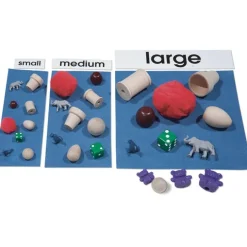 Conjunto para clasificar tamaños - Primary Concepts + REGALO apilables