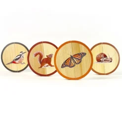 Círculos de madera magnéticos Animales del bosque (4) - Nowordbooks