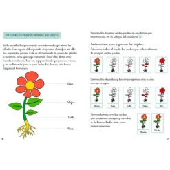 Descubre la naturaleza con Montessori: Cuentos y actividades sobre las plantas - Klara Moncho - Altea