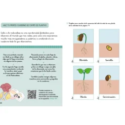 Descubre la naturaleza con Montessori: Cuentos y actividades sobre las plantas - Klara Moncho - Altea
