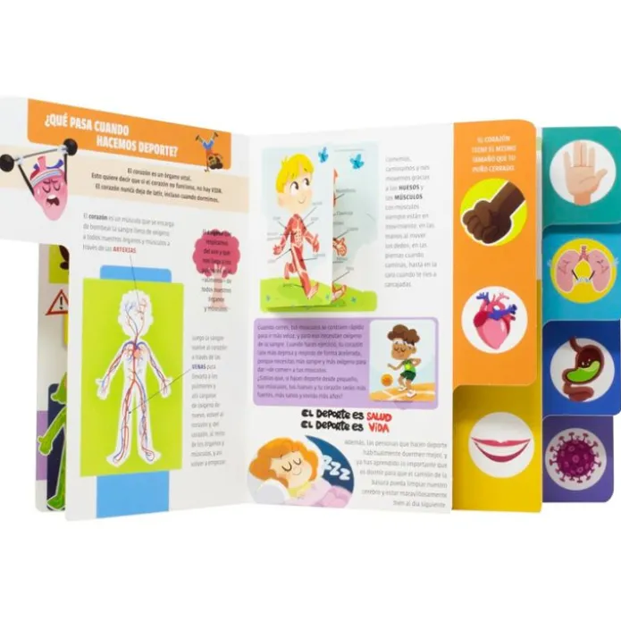 El gran libro del cuerpo humano - Lucía Galán Bertrand