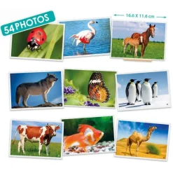 Fotografías de animales - Akros
