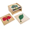 Gabinete de madera con 3 puzles botánica - Montessori