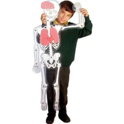 Hombre esqueleto Skeleton Man Light & Learn - HenBea