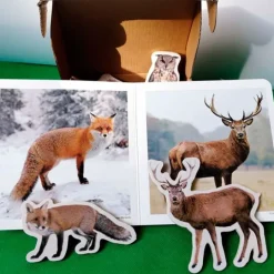 Imanes de madera Animales del bosque (10) - Nowordbooks