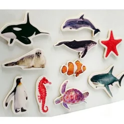 Imanes de madera Animales marinos (10) - Nowordbooks