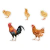 Imanes de madera Familia gallinas (5) - Nowordbooks