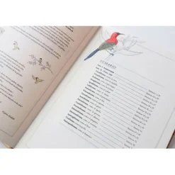 Inventario ilustrado de aves - Virginie Aladjidi - Kalandraka