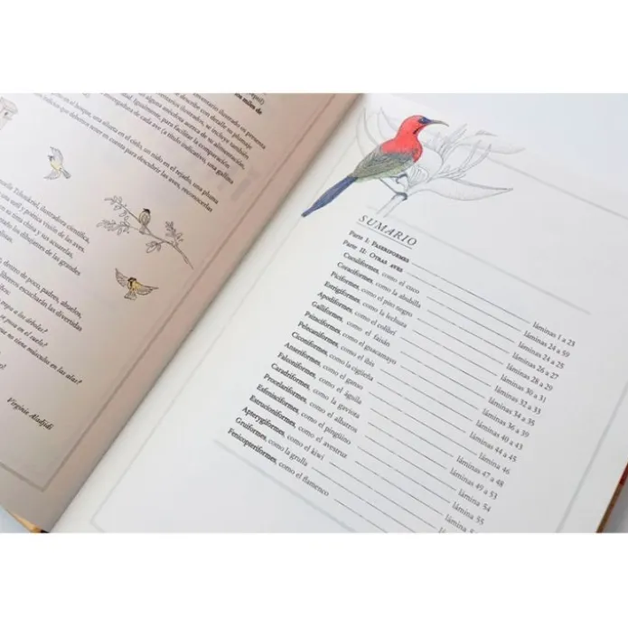 Inventario ilustrado de aves - Virginie Aladjidi - Kalandraka