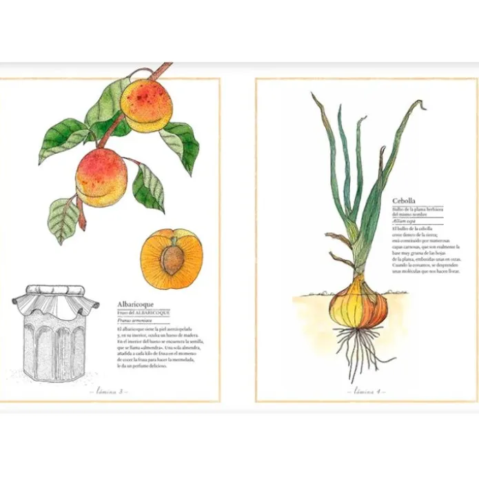 Inventario ilustrado de frutas y verduras - Virginie Aladjidi - Kalandraka