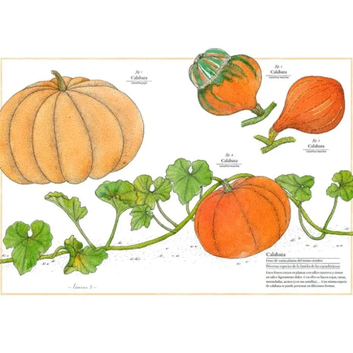 Inventario ilustrado de frutas y verduras - Virginie Aladjidi - Kalandraka