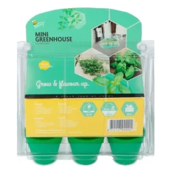 Invernadero para cultivar albahaca y tomillo (6) - Green Warriors