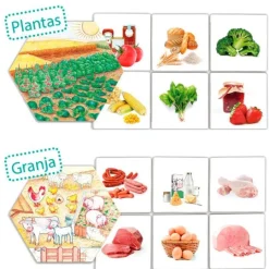 Juego de asociación: De dónde vienen los alimentos - Akros