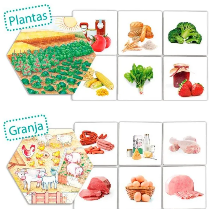Juego de asociación: De dónde vienen los alimentos - Akros