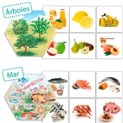 Juego de asociación: De dónde vienen los alimentos - Akros