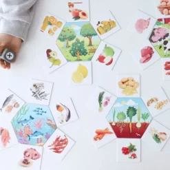 Juego de asociación: De dónde vienen los alimentos - Akros