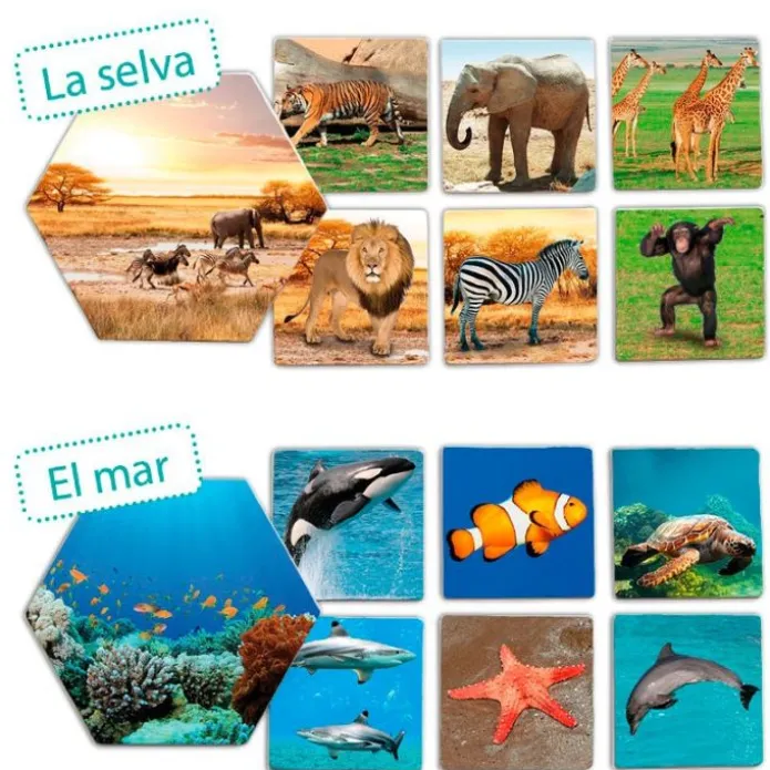 Juego de asociación: ¿Dónde viven los animales? - Akros