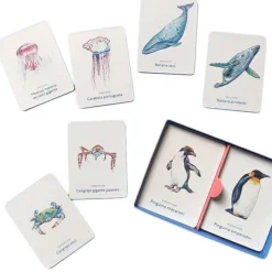 Juego de memoria Un mar de animales - MTM
