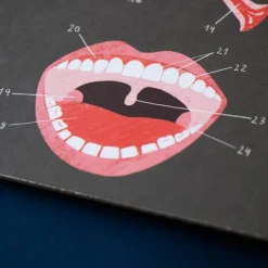 Juego Inside Me Partes del cuerpo - Londji