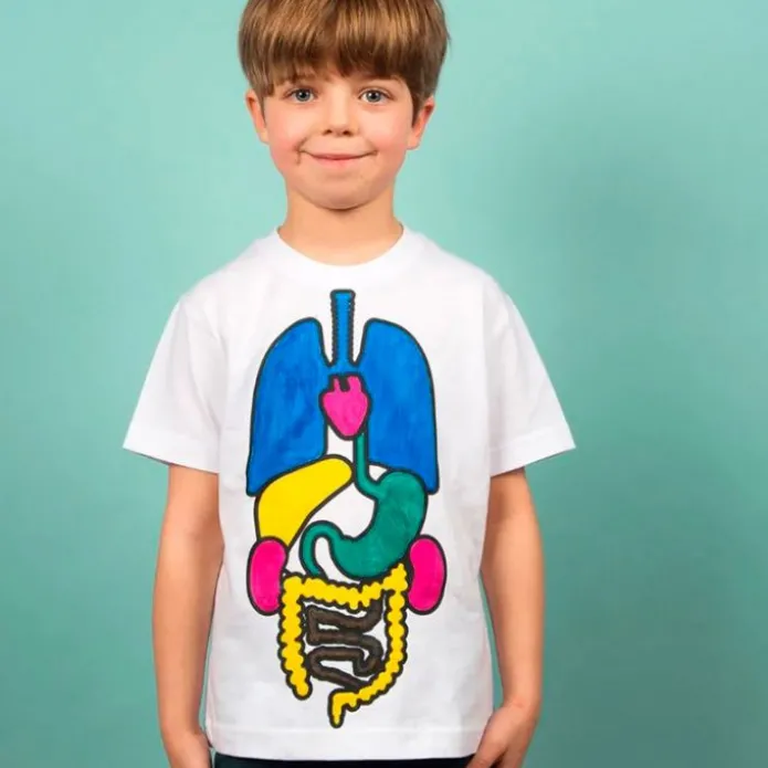 Kit camiseta órganos 6 años DIY - Koa Koa