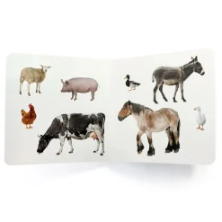 Libro de fotografías Animales de la granja Volumen 2 - Nowordbooks