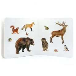 Libro de fotografías Animales del Bosque Volumen 2 - Nowordbooks