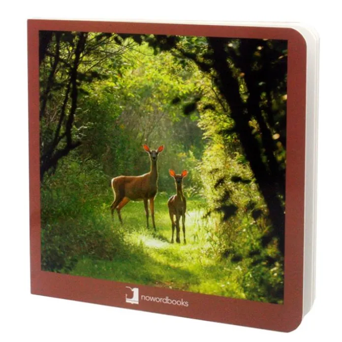 Libro de fotografías animales del bosque Volumen 1 - Nowordbooks