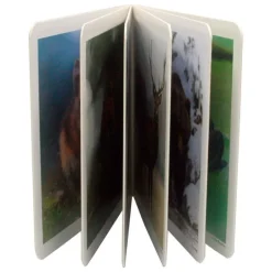 Libro de fotografías animales del bosque Volumen 1 - Nowordbooks