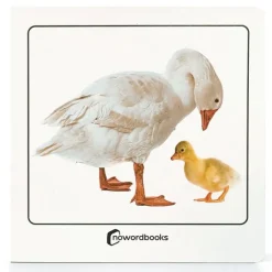 Libro de fotografías Animales domésticos y sus crías - Nowordbooks