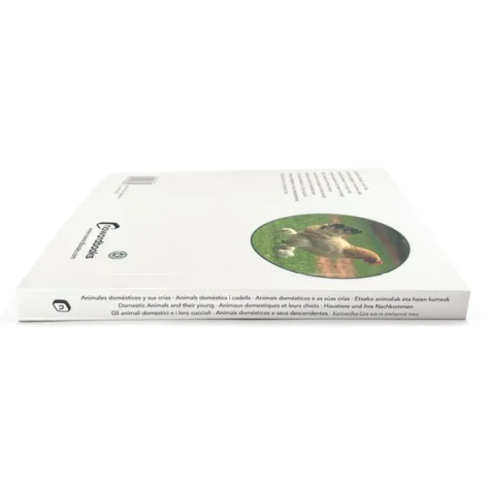 Libro de fotografías Animales domésticos y sus crías - Nowordbooks