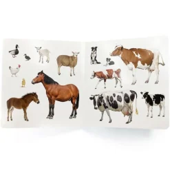 Libro de fotografías Animales domésticos y sus crías - Nowordbooks