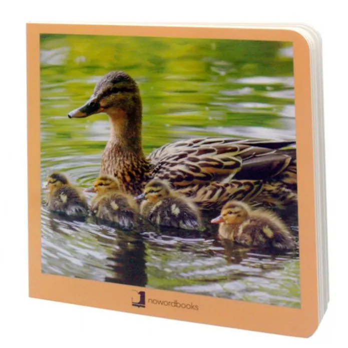 Libro de fotografías animales en familia Volumen 1 - Nowordbooks