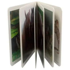 Libro de fotografías animales en familia Volumen 1 - Nowordbooks