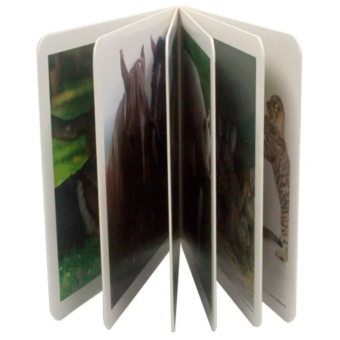 Libro de fotografías animales en familia Volumen 1 - Nowordbooks