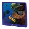 Libro de fotografías animales marinos Volumen 1 - Nowordbooks