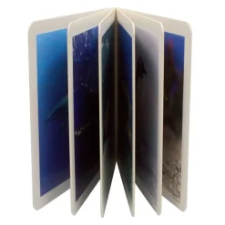 Libro de fotografías animales marinos Volumen 1 - Nowordbooks