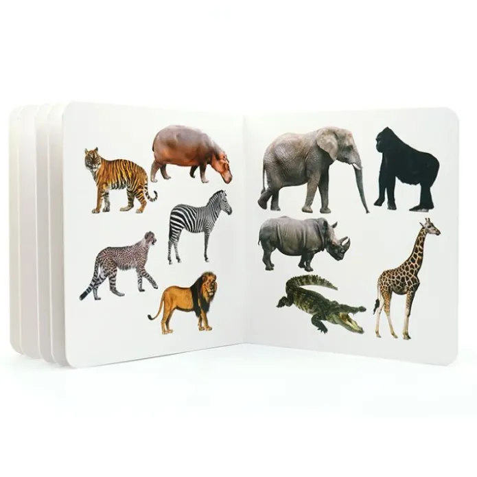 Libro de fotografías Animales Salvajes Volumen 3 - Nowordbooks
