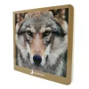 Libro de fotografías animales salvajes Volumen 2 - Nowordbooks
